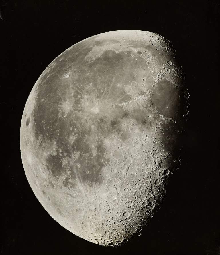 Image:
                        Lot 1376