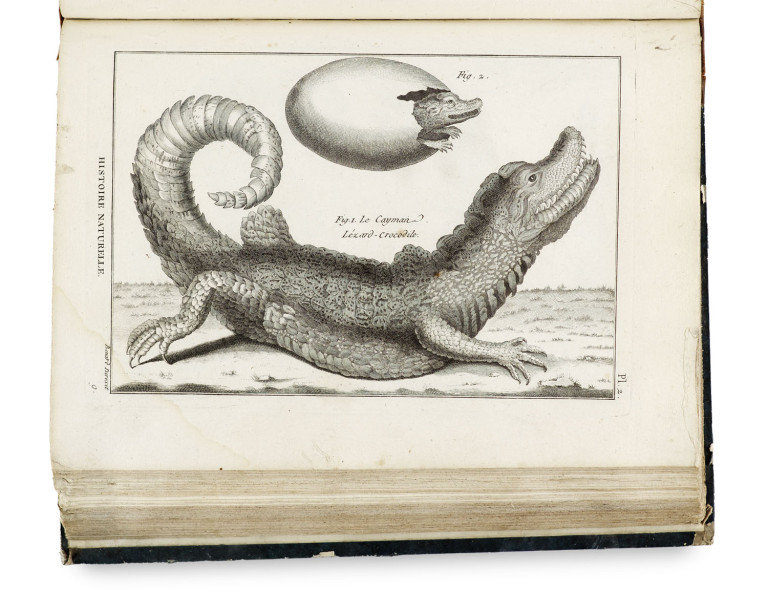 Image:
                        Lot 1609