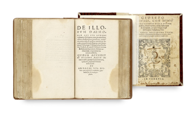 Image:
                        Lot 15