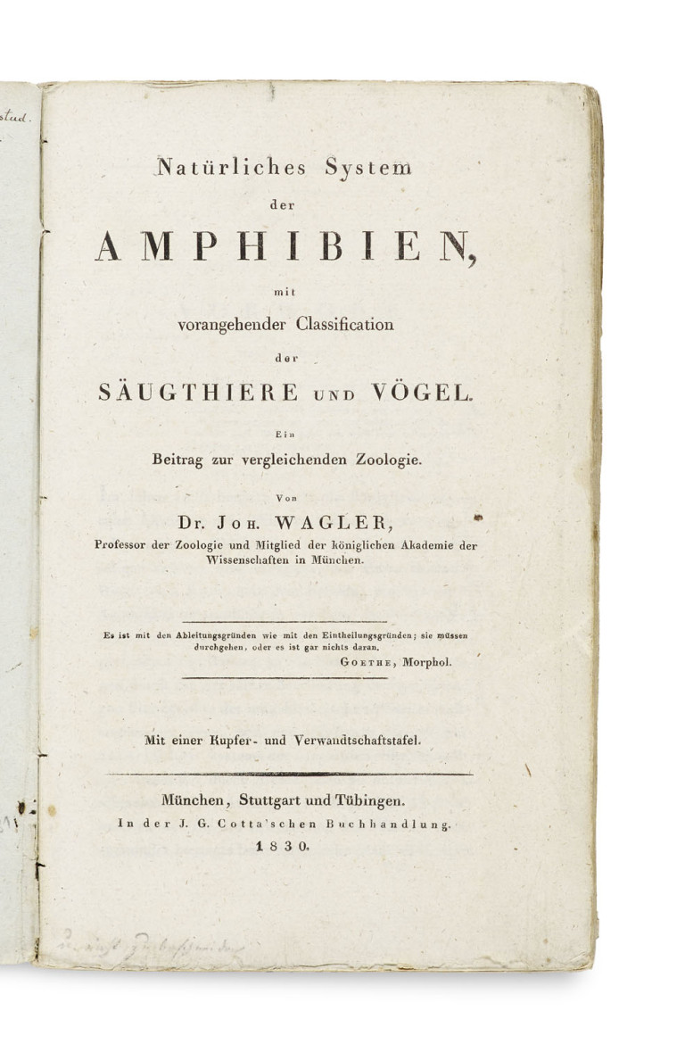 Image:
                        Lot 1606