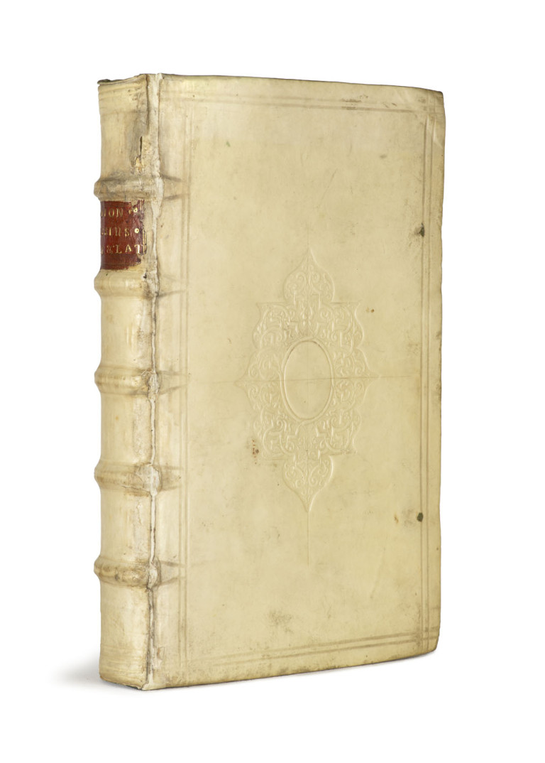 Image:
                        Lot 5