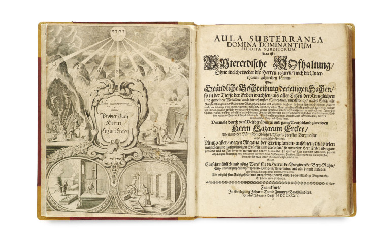 Bild:
                        Los 1498