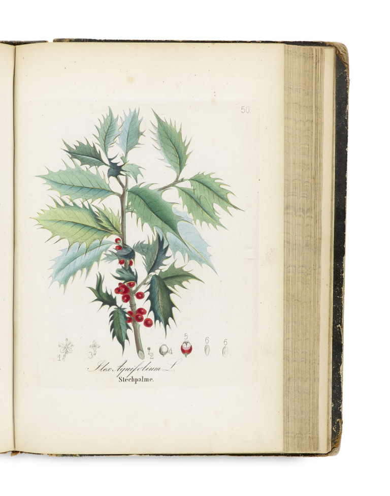 Image:
                        Lot 1469