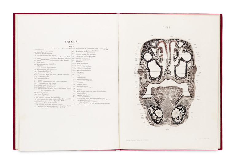 Image:
                        Lot 1526
