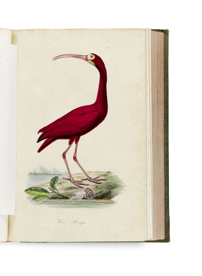 Image:
                        Lot 1580