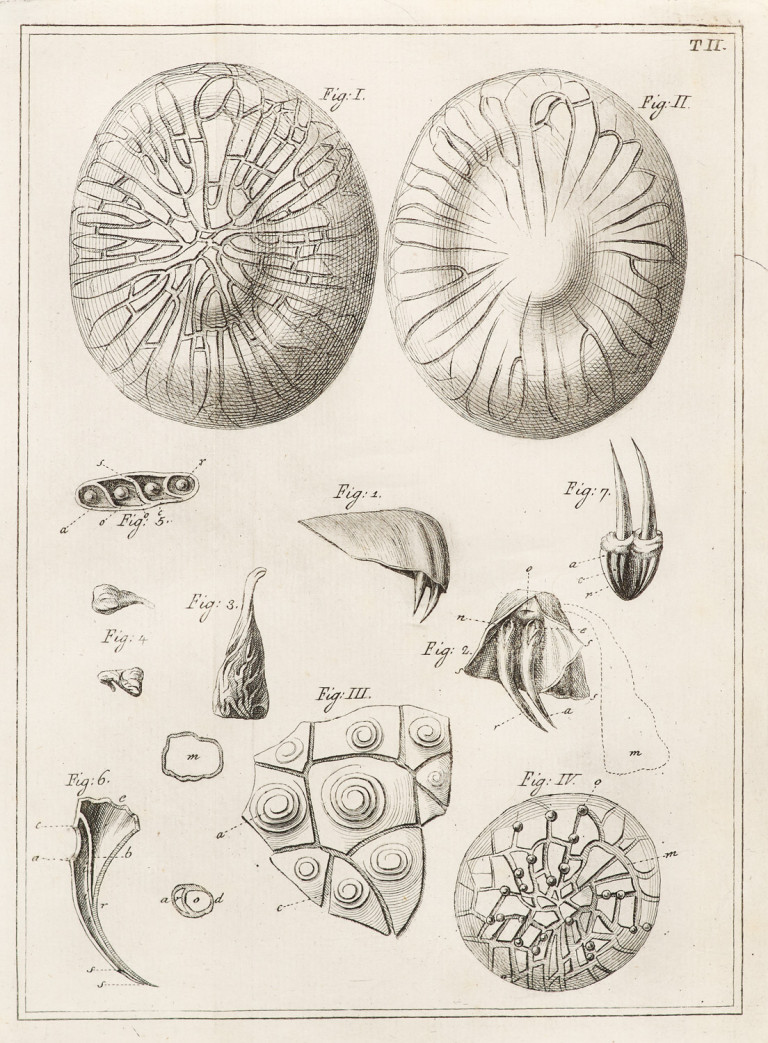 Image: 2