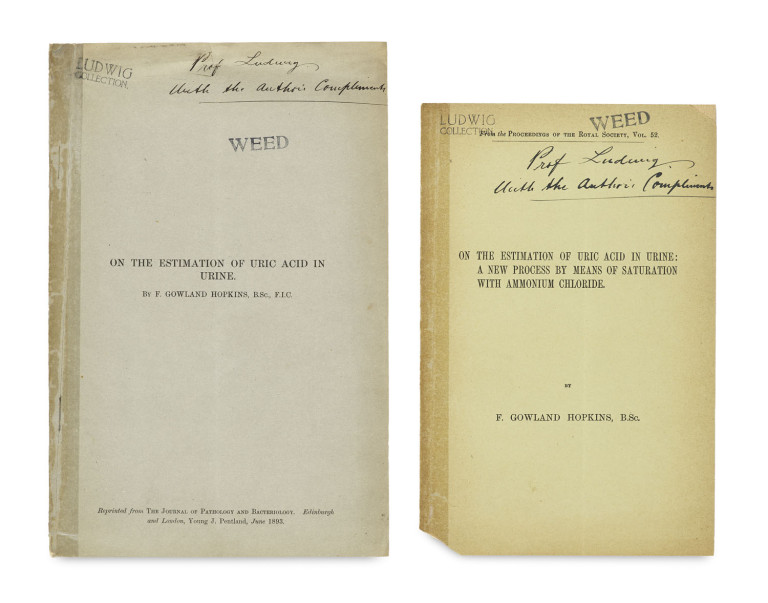 Image:
                        Lot 1551