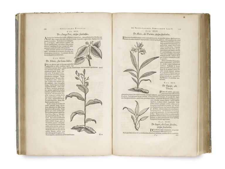 Image:
                        Lot 465