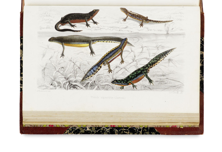 Image:
                        Lot 1590