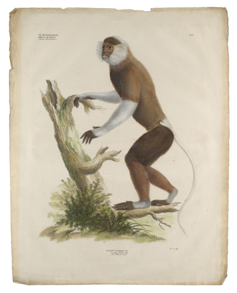 Image: 1