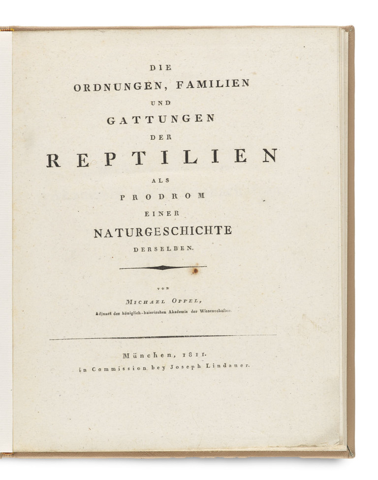 Bild:
                        Los 1597