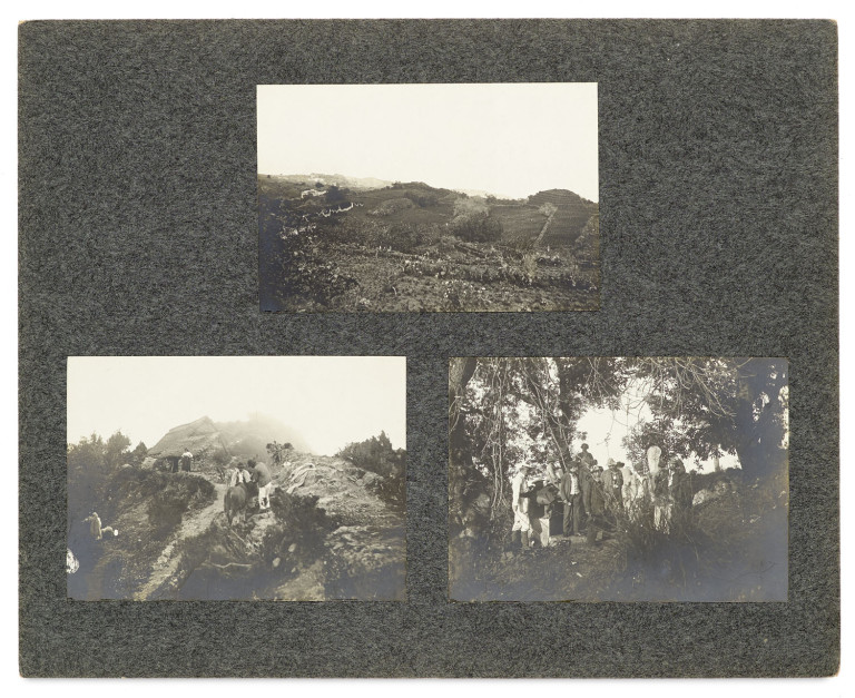 Image:
                        Lot 1437