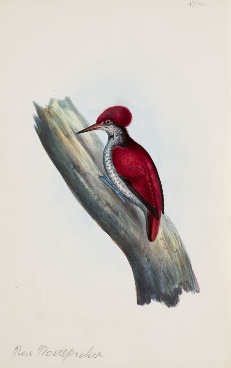 Image:
                        Lot 1637