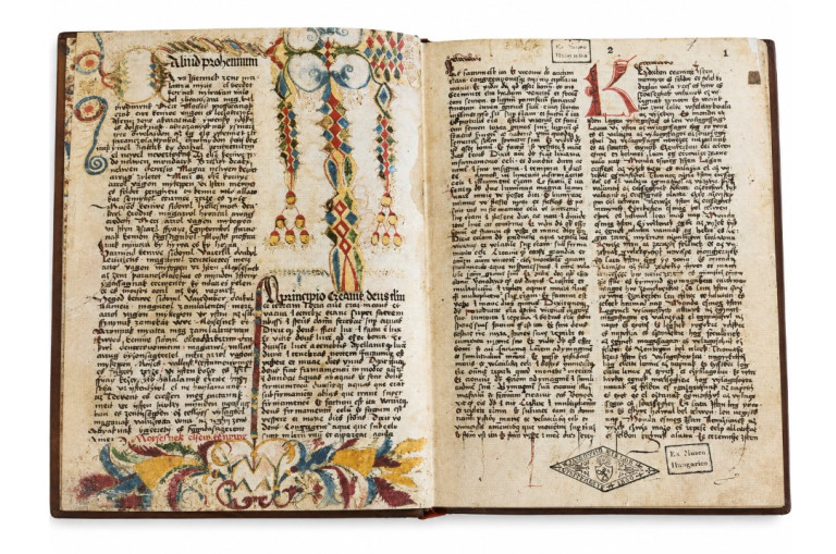 Image:
                        Lot 206