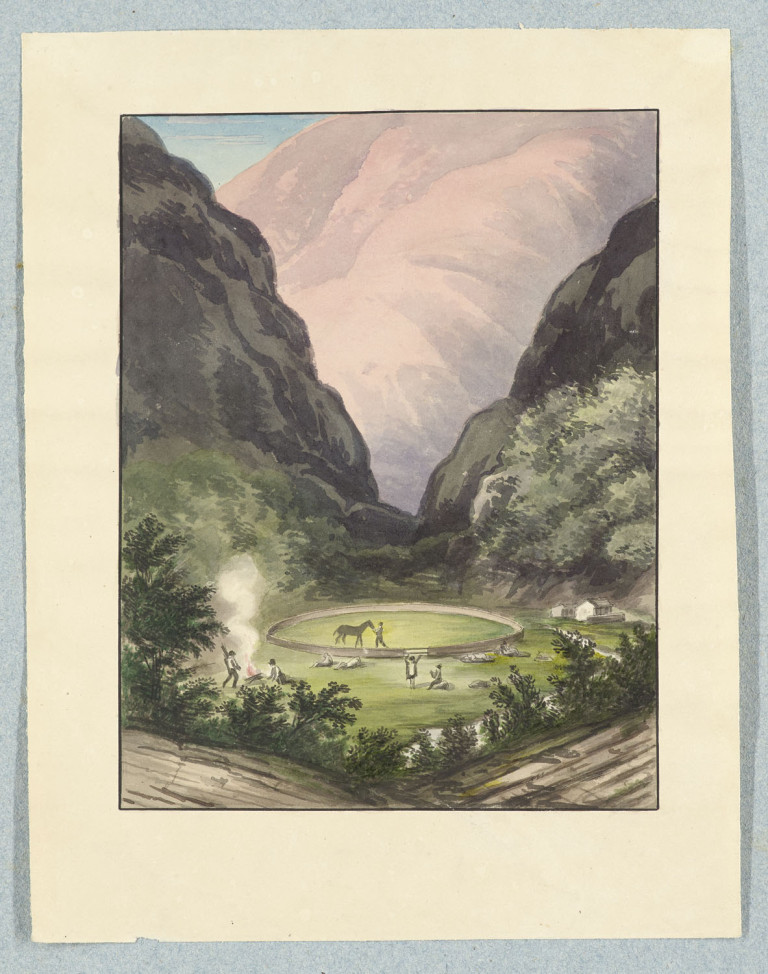 Image:
                        Lot 464