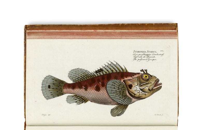 Image: 2