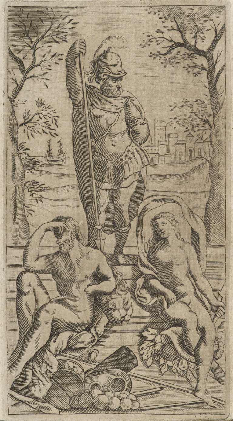 Image:
                        Lot 316