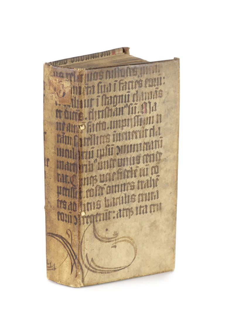 Image:
                        Lot 1446