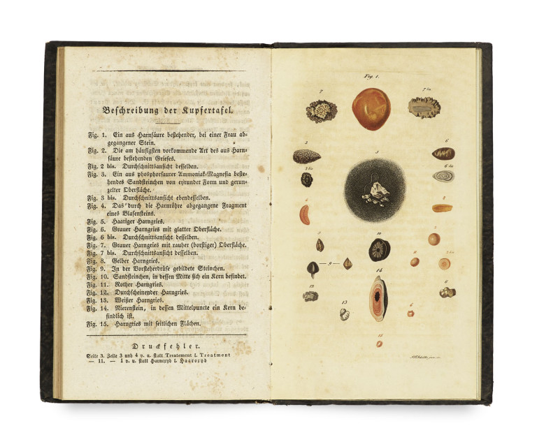 Image:
                        Lot 1567