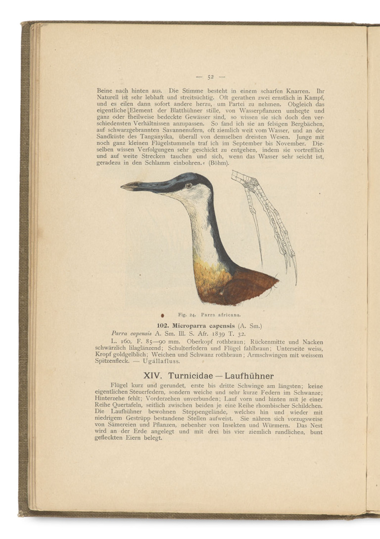Image:
                        Lot 1629