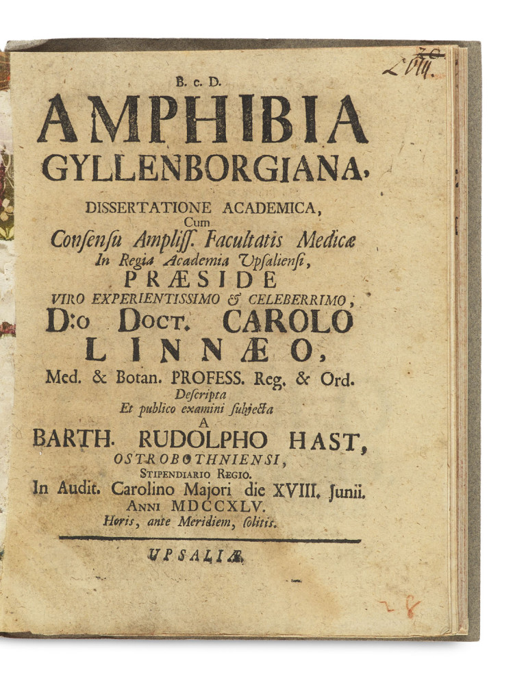 Image:
                        Lot 1594