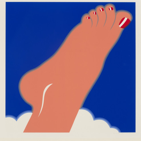 Pop Art - Tom Wesselmann. Seascape (Foot) 1968.